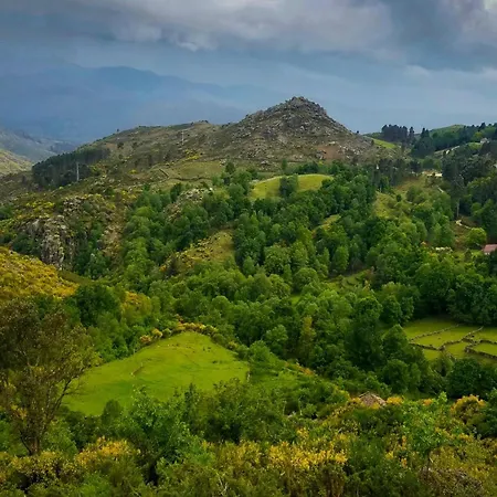 컨트리하우스 Casa Do Grilo 소아주